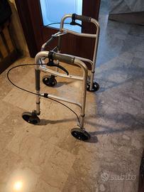 Carrello deambulatore