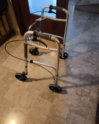 Carrello deambulatore