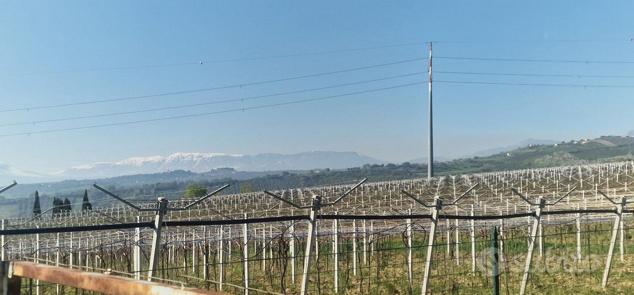 Rustico a Città Sant'Angelo (PE) - Cipressi - Vista 5