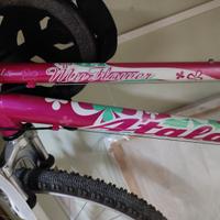 Bici
