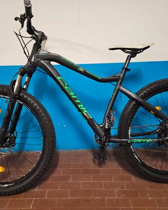 Bicicletta Camic