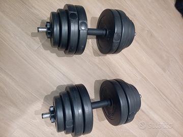 manubri per palestra