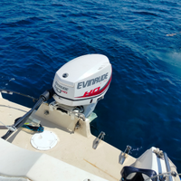 Evinrude etec 40/60