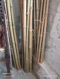 varie canne di bambù