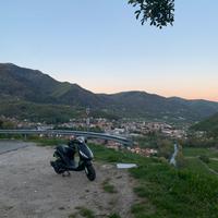 Zip 50cc special edition