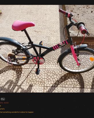 biciclette 