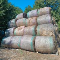 Balloni di fieno di prato e biada e oglietto