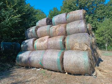 Balloni di fieno di prato e biada e oglietto