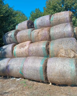 Balloni di fieno di prato e biada e oglietto