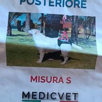 SOSPENSORE POSTERIORE TG. S cane piccola taglia