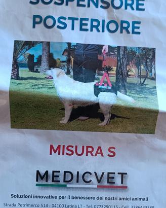 SOSPENSORE POSTERIORE TG. S cane piccola taglia