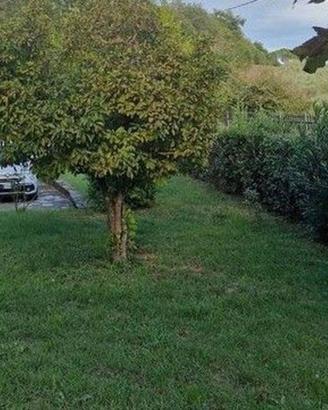 Villa di 60 m² con 3 locali a Carmignano