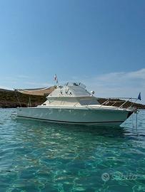 Bertram 28 Fly