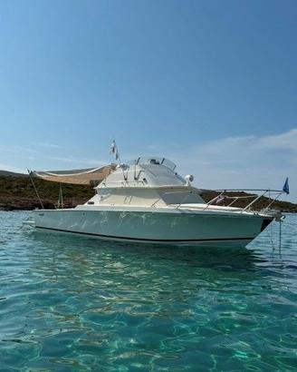 Bertram 28 Fly