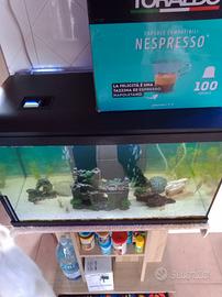 Nessuno