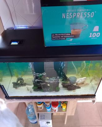 Nessuno