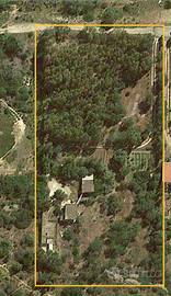 Vendita terreno agricolo