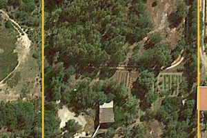 Vendita terreno agricolo