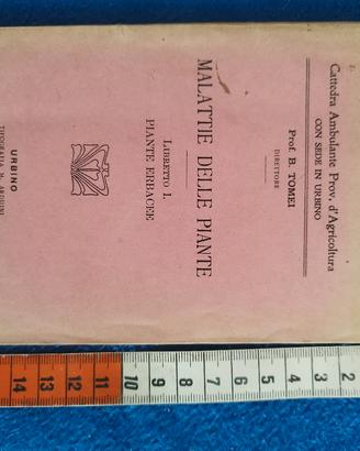libretto 1914