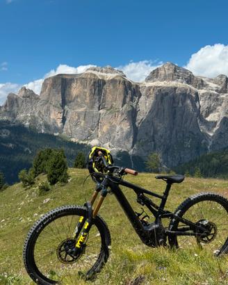 Specialized Kenevo Expert S4