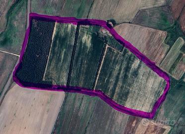 Terreno agricolo con fabbricati