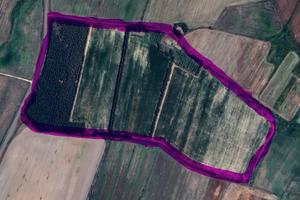 Terreno agricolo con fabbricati