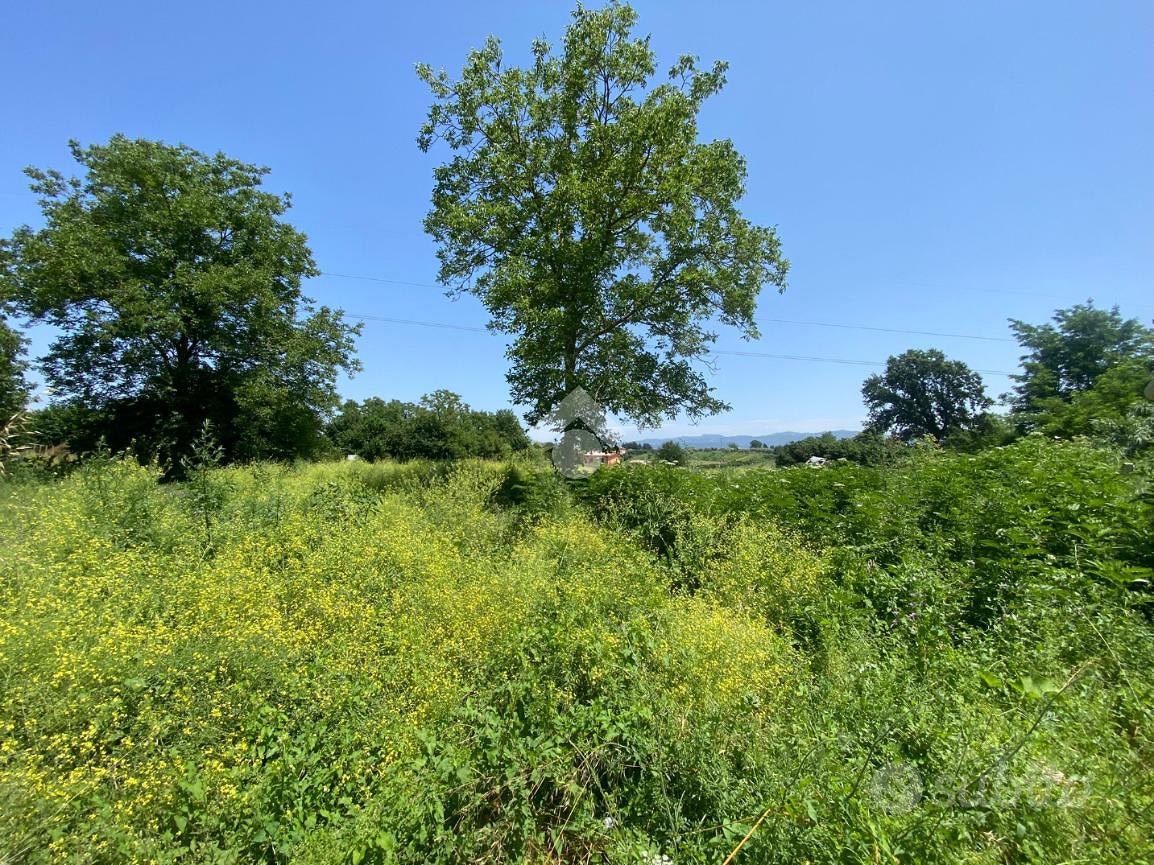 TER. AGRICOLO A SAN CESAREO - Altro