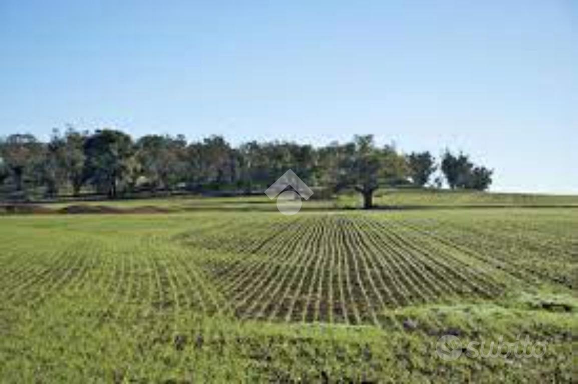 TER. AGRICOLO A GRUMELLO DEL MONTE - Vista 3