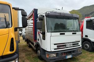Iveco Eurocargo
