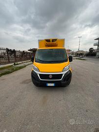 Fiat ducato anno 2019