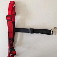 Pettorina da addestramento anti-trazione HALTI