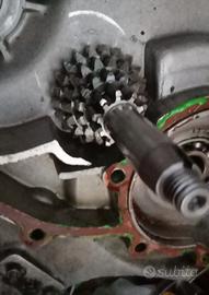 cambio vespa 125 ET3/ special/ primavera 