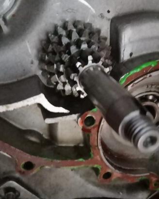 cambio vespa 125 ET3/ special/ primavera 