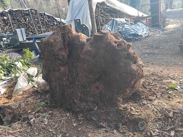 Ceppi e pietre ornamentali