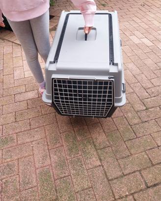 Kennel