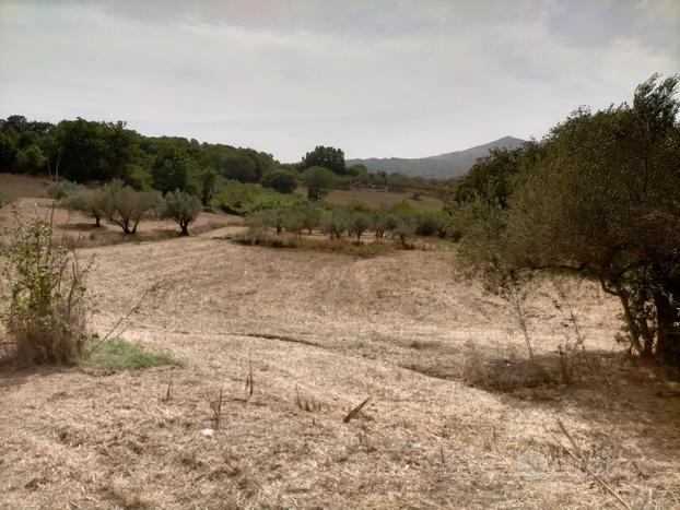 Terreno un ettaro e mezzo con casa