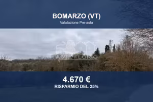 Immobile in asta di 14090 m² a Bomarzo