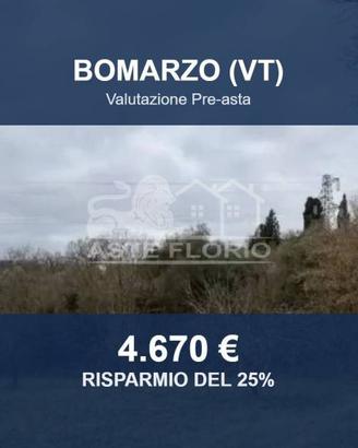 Immobile in asta di 14090 m² a Bomarzo