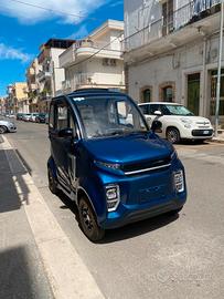 Auto elettrica 