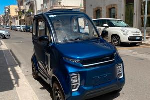 Auto elettrica 