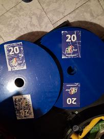 dischi powergear 20kg 