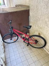 Bici 20