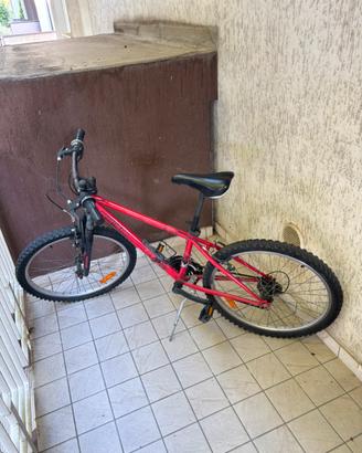 Bici 20