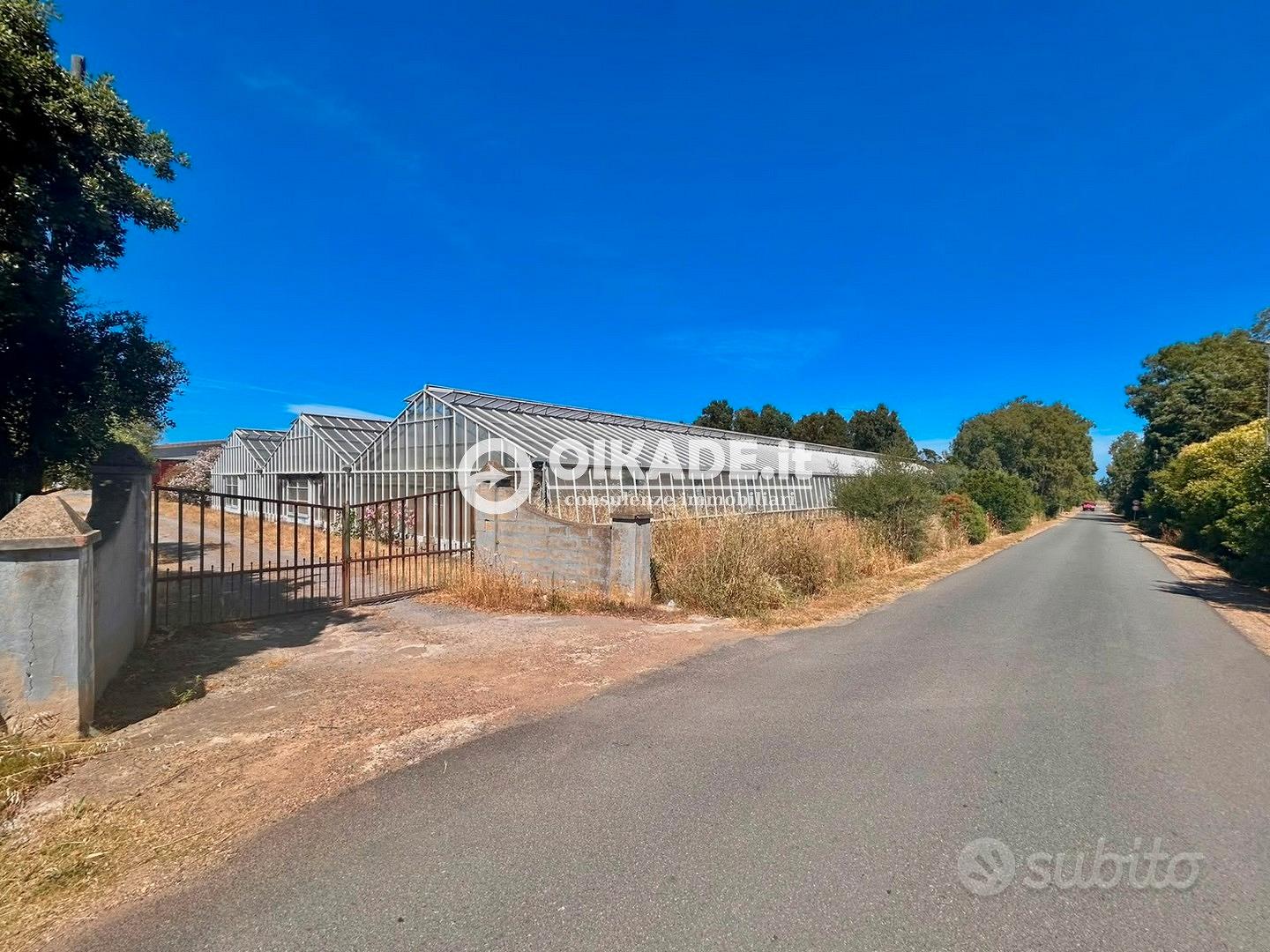 Pula "Loc. Baustella" - Terreno agricolo con serre - Vista 3