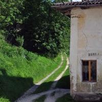 Terreni Boschivi Valli Del Pasubio