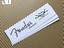 Immagine 5