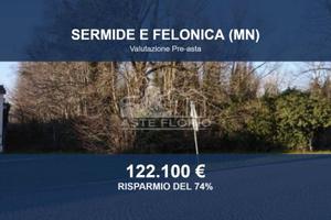 Immobile in asta di 58350 m² a Sermide e Felonica