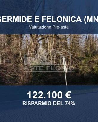 Immobile in asta di 58350 m² a Sermide e Felonica