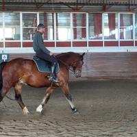 Cavallo Super catria