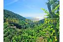 rustico-casale-di-40-m²-con-2-locali-a-riomaggio